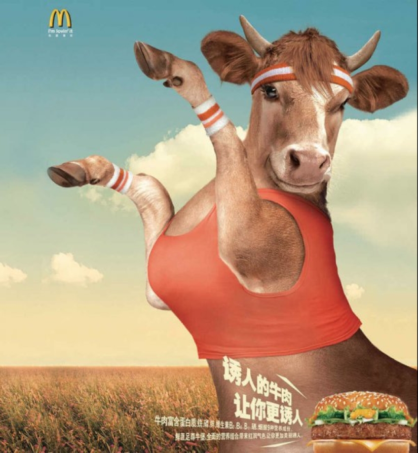 18 examples of advertising, proving that the Japanese are the craziest nation