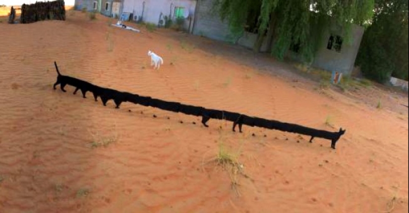 18 fotos panorámicas con quien algo está mal 18 fotos panorámicas con quien algo está mal