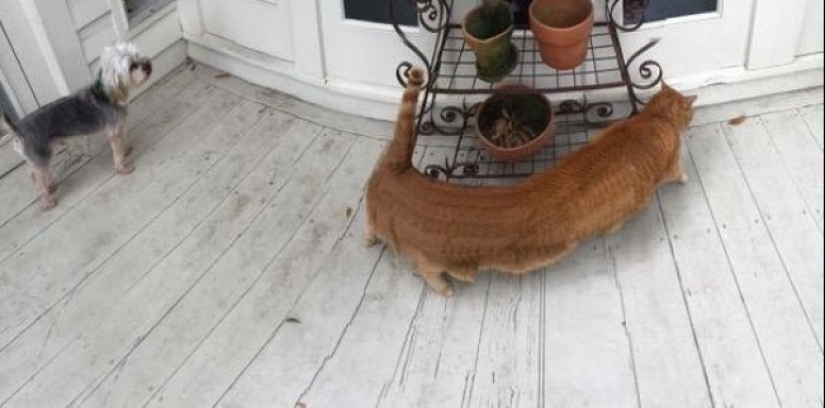 18 fotos panorámicas con quien algo está mal 18 fotos panorámicas con quien algo está mal