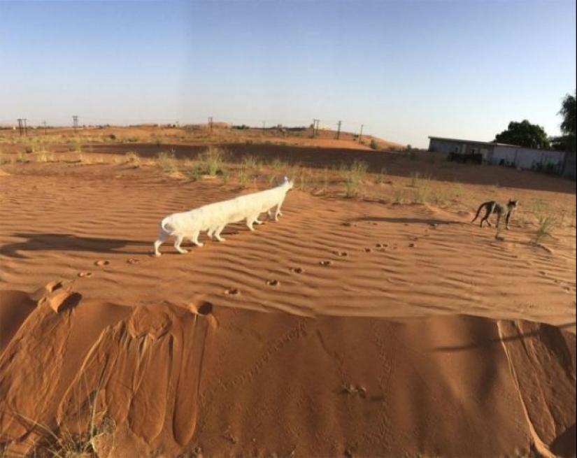 18 fotos panorámicas con quien algo está mal 18 fotos panorámicas con quien algo está mal