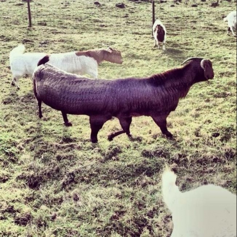 18 fotos panorámicas con quien algo está mal 18 fotos panorámicas con quien algo está mal