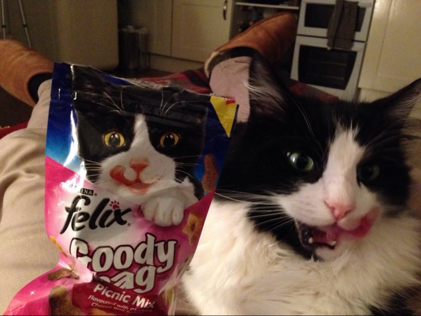 18 funny coincidences that are guaranteed to lift your spirits