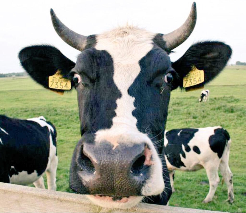 18 funny coincidences that are guaranteed to lift your spirits