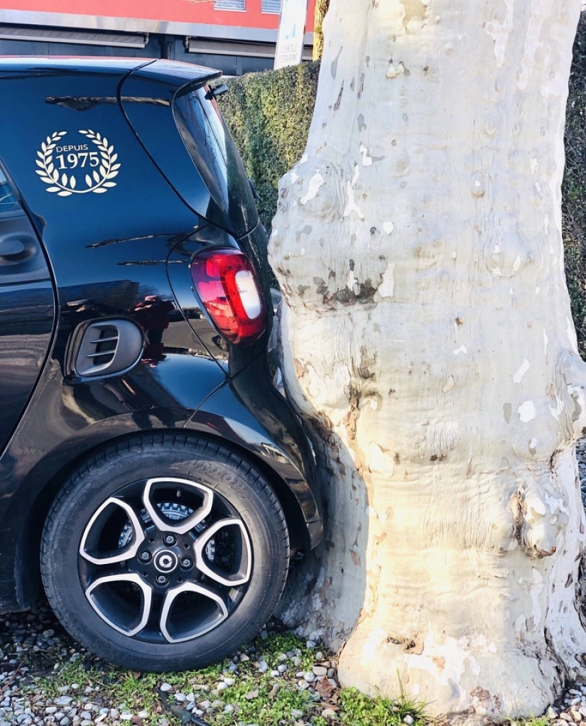 18 funny coincidences that are guaranteed to lift your spirits