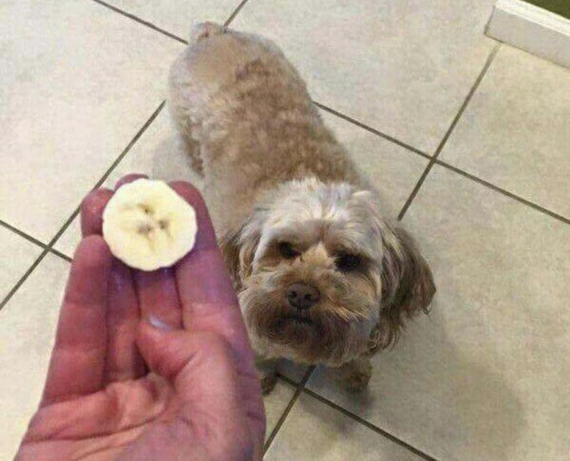 18 funny coincidences that are guaranteed to lift your spirits