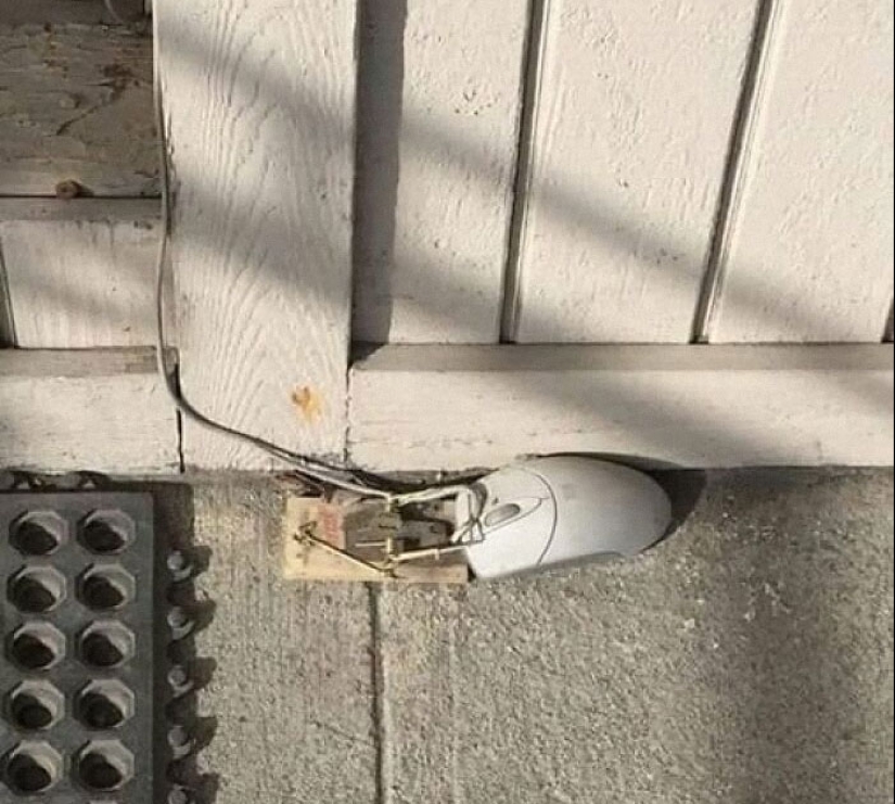 18 Images So Weird They Need Jesus, As Shared By The “Weird Images Worth Seeing” Online Group