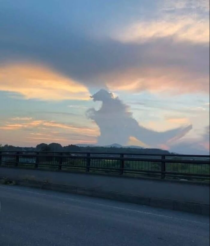 18 Images So Weird They Need Jesus, As Shared By The “Weird Images Worth Seeing” Online Group