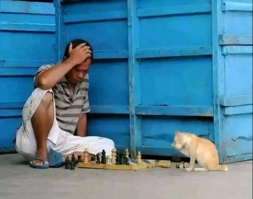 18 Images So Weird They Need Jesus, As Shared By The “Weird Images Worth Seeing” Online Group