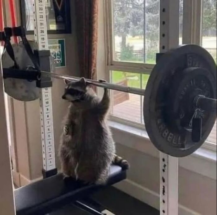 18 Images So Weird They Need Jesus, As Shared By The “Weird Images Worth Seeing” Online Group