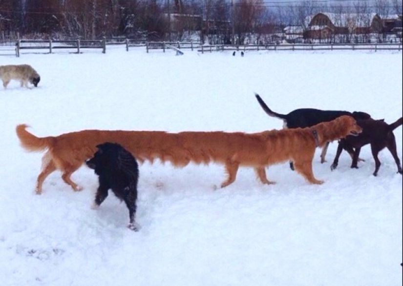 18 panoramic shots with whom something is wrong