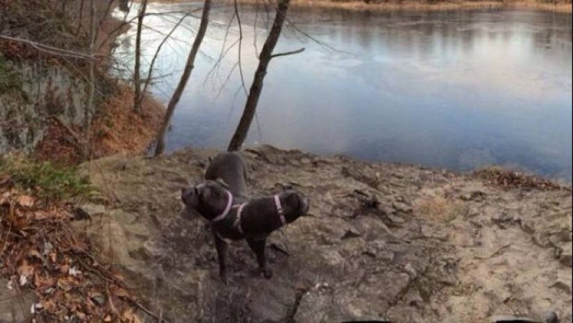 18 panoramic shots with whom something is wrong