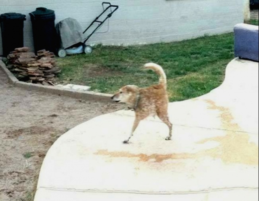 18 panoramic shots with whom something is wrong