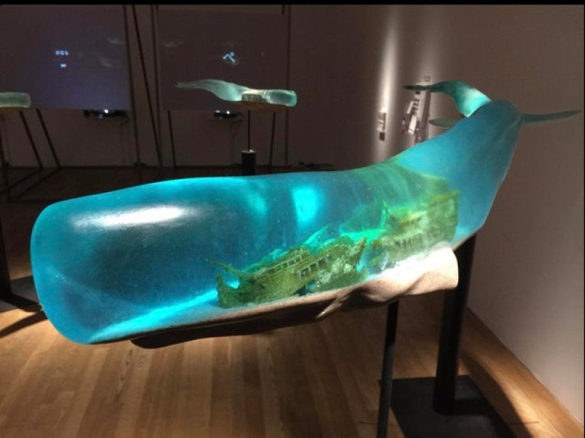 18 photos that will give you visual pleasure 18 photos that will give you visual pleasure