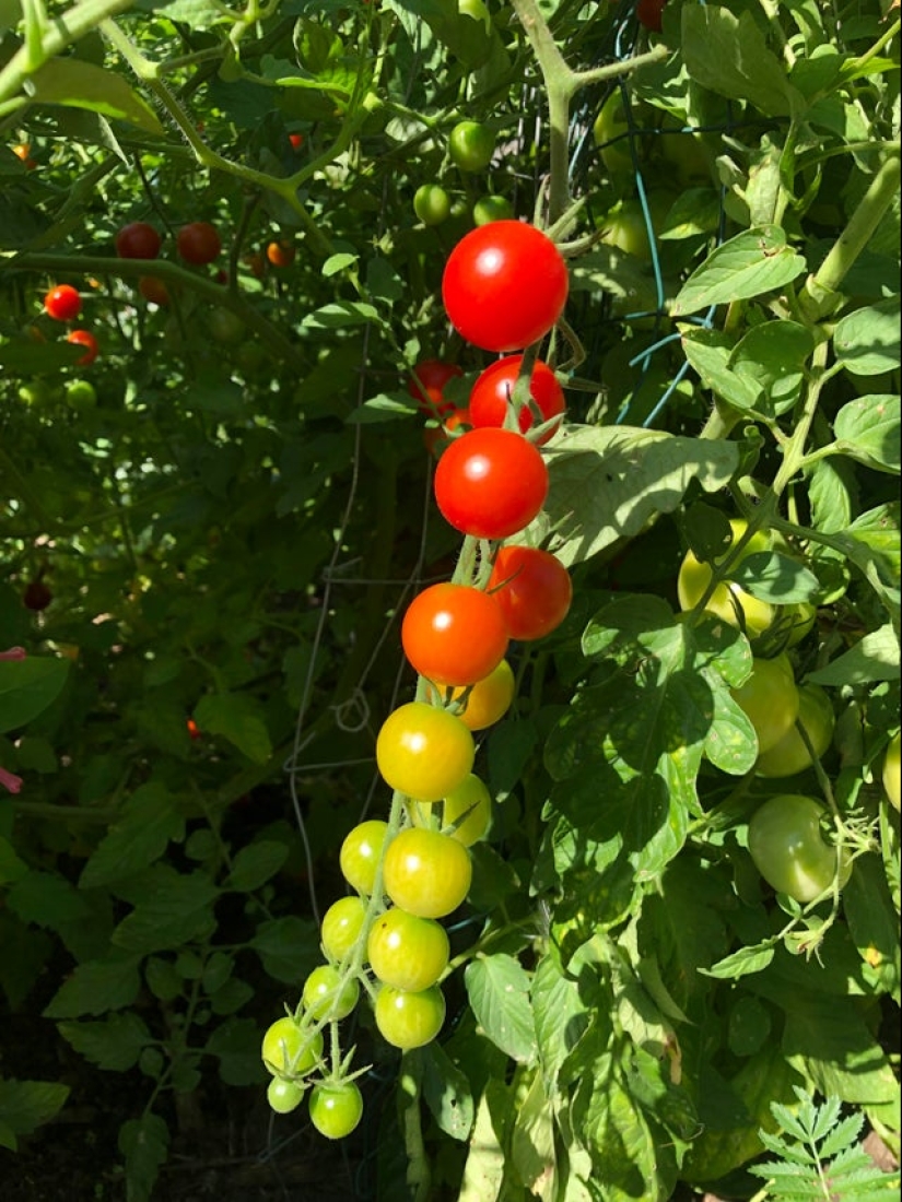 18 photos that will give you visual pleasure 18 photos that will give you visual pleasure