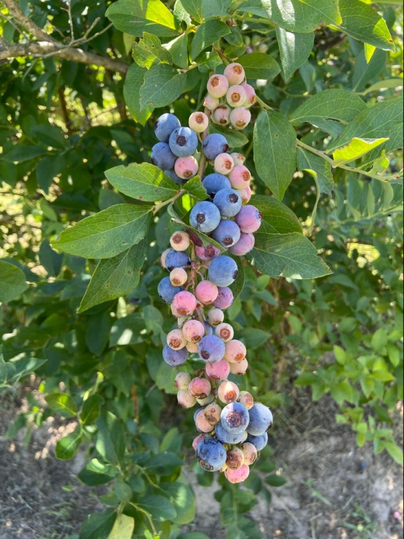 18 photos that will give you visual pleasure 18 photos that will give you visual pleasure