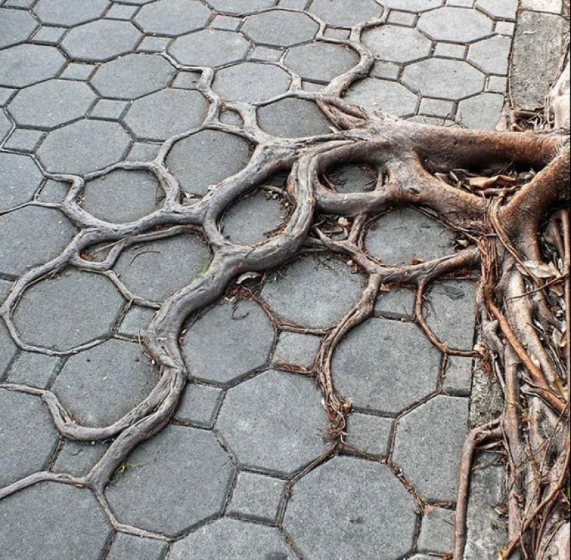 18 photos that will give you visual pleasure 18 photos that will give you visual pleasure