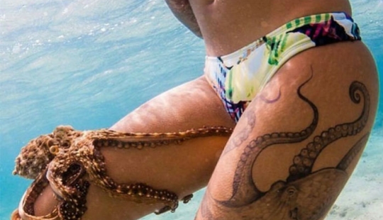 18 photos where life imitates art, and not the other way around