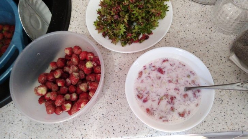 18 products that every child dreamed of in the 90s