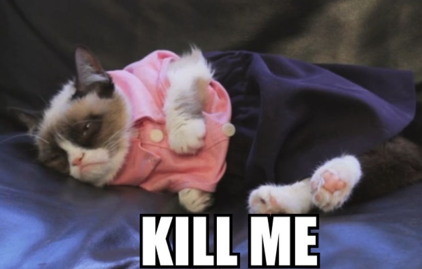 18 quirks in American culture that Americans themselves don't even notice