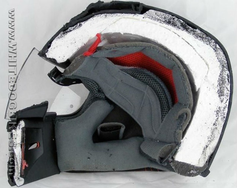 18 things cut in half