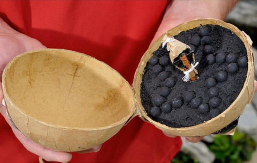 18 things cut in half