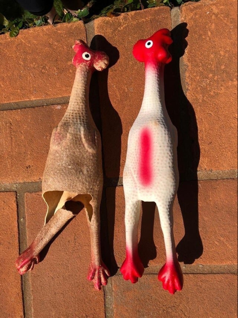 19 poignant and sobering photos of how merciless time is 19 poignant and sobering photos of how merciless time is