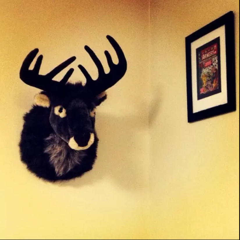 19 signs of a hipster restaurant that knows a lot about perversions 19 signs of a hipster restaurant that knows a lot about perversions