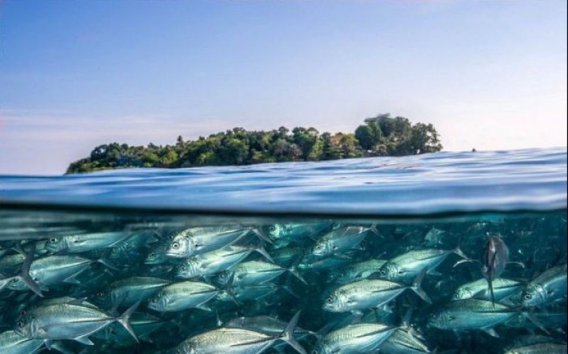 20 amazing photos capturing the contrasts of our planet