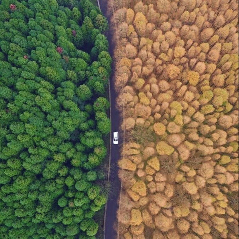 20 amazing photos capturing the contrasts of our planet