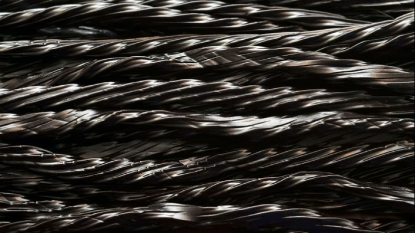 20 ambiguous foods and dishes that are either loved or hated