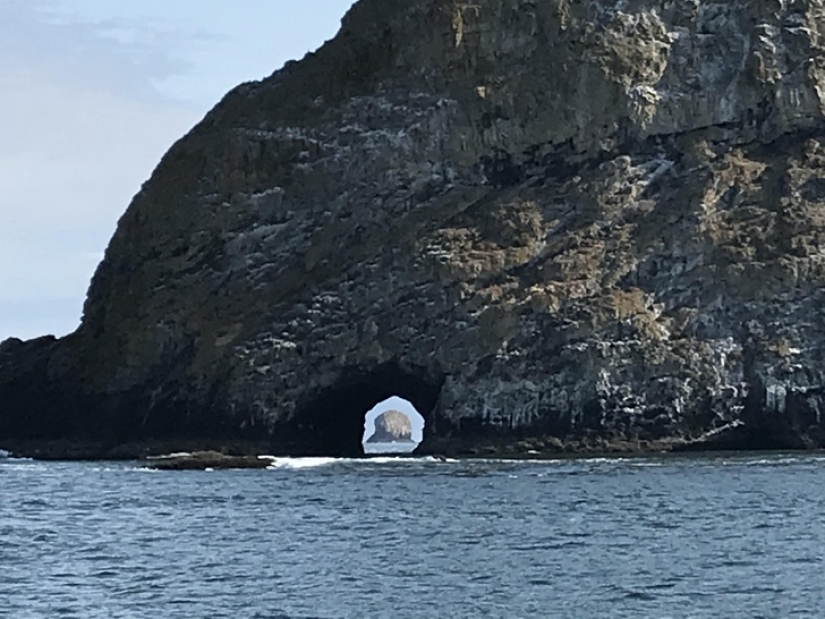 20 ambiguous photos, which are not immediately clear what is happening there