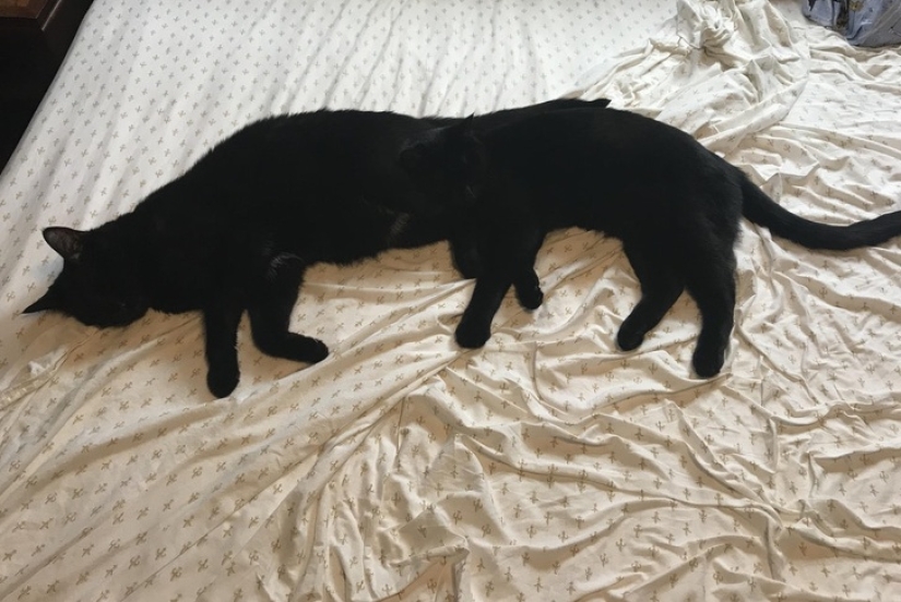 20 ambiguous photos, which are not immediately clear what is happening there