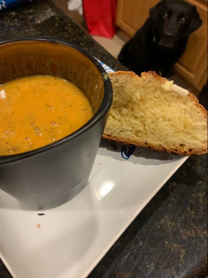 20 animales a los que simplemente no se les puede negar comida