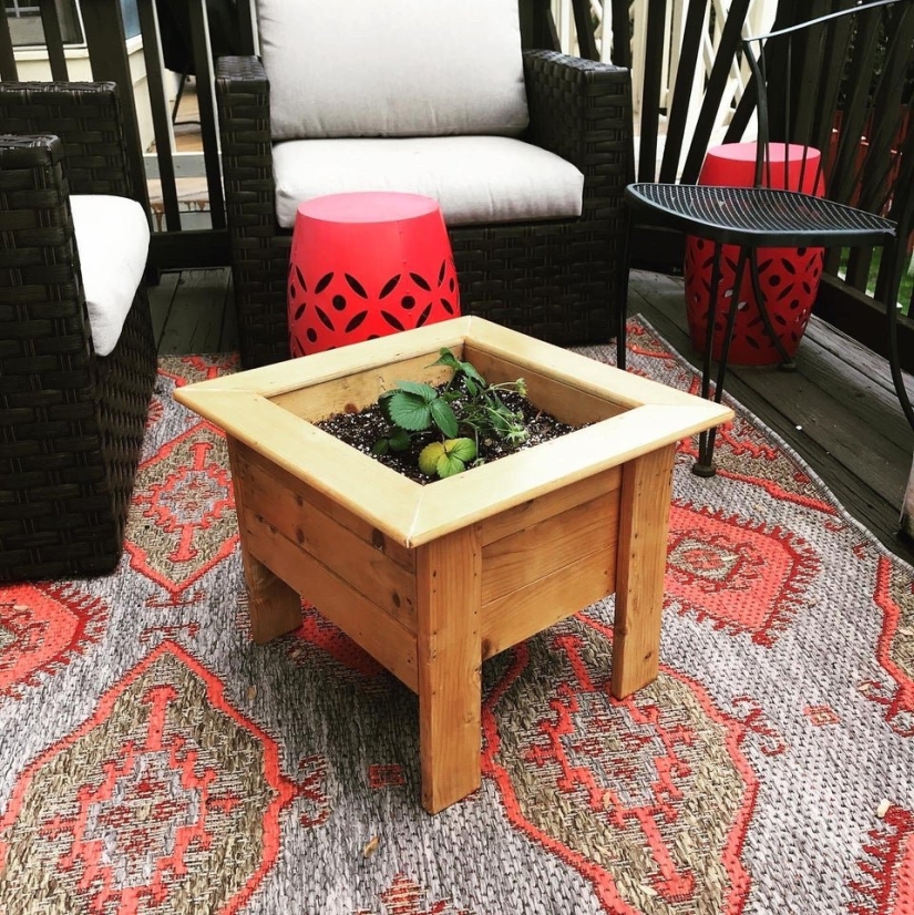 20 artículos vintage que son mejores que nuevos después de la restauración 20 artículos vintage que son mejores que nuevos después de la restauración