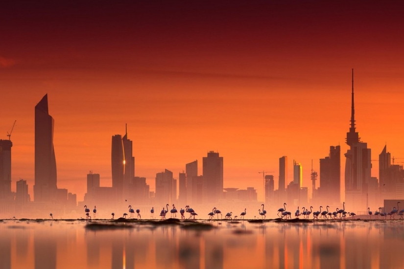 20 best pictures taken at dawn