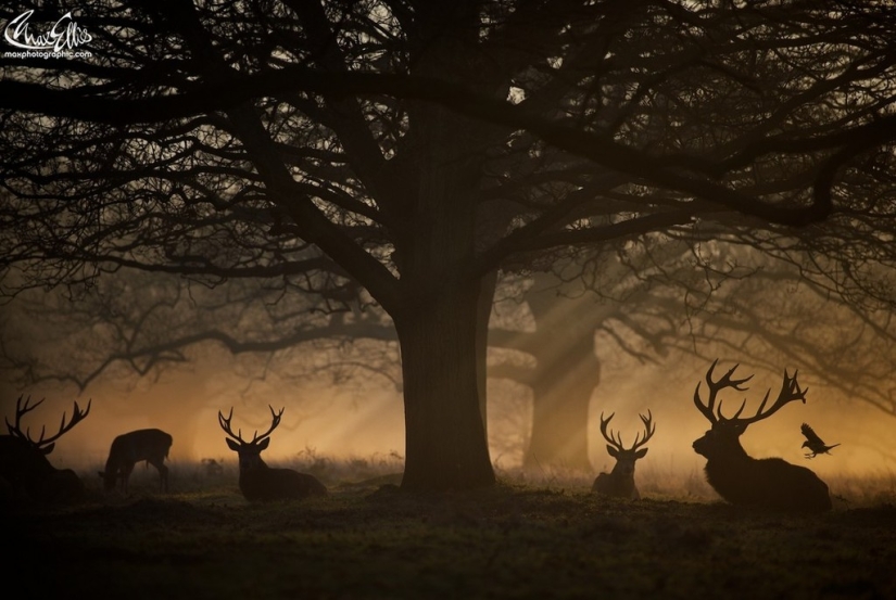 20 best pictures taken at dawn