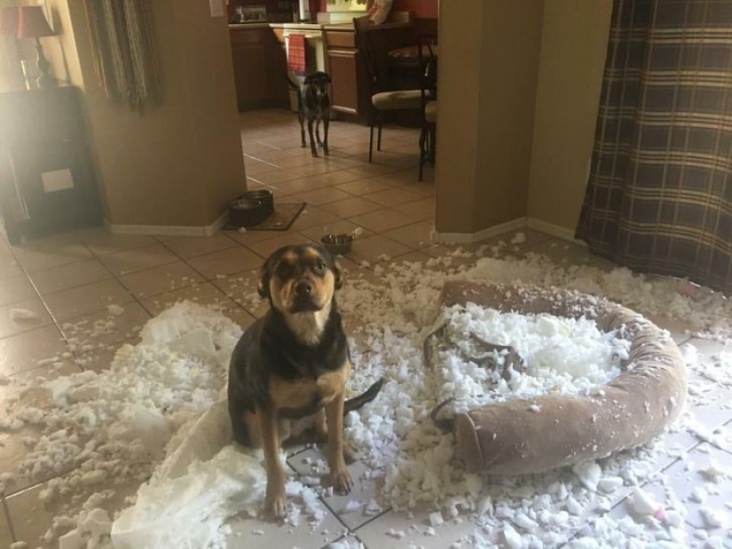 20 casos ofensivos cuando alguien es muy desafortunado