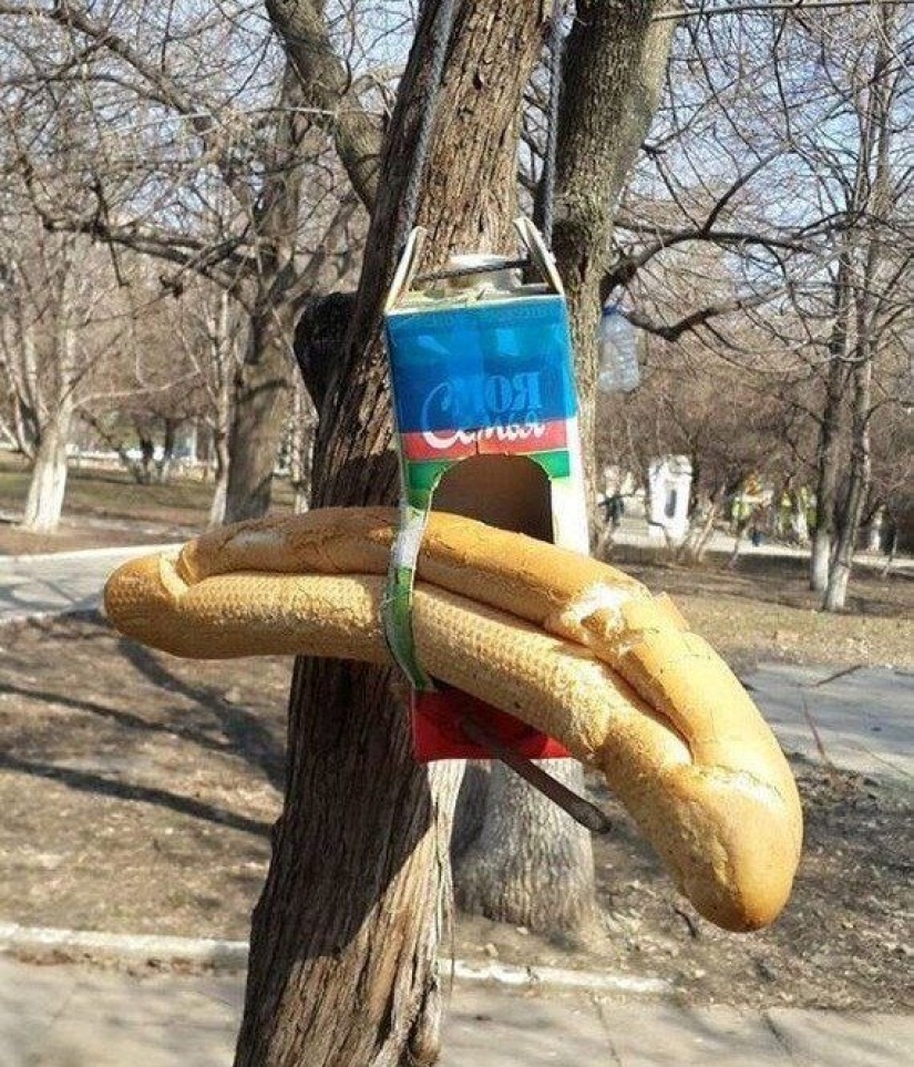 20 colorido de las fotos tomadas en algún lugar de Rusia 20 colorido de las fotos tomadas en algún lugar de Rusia