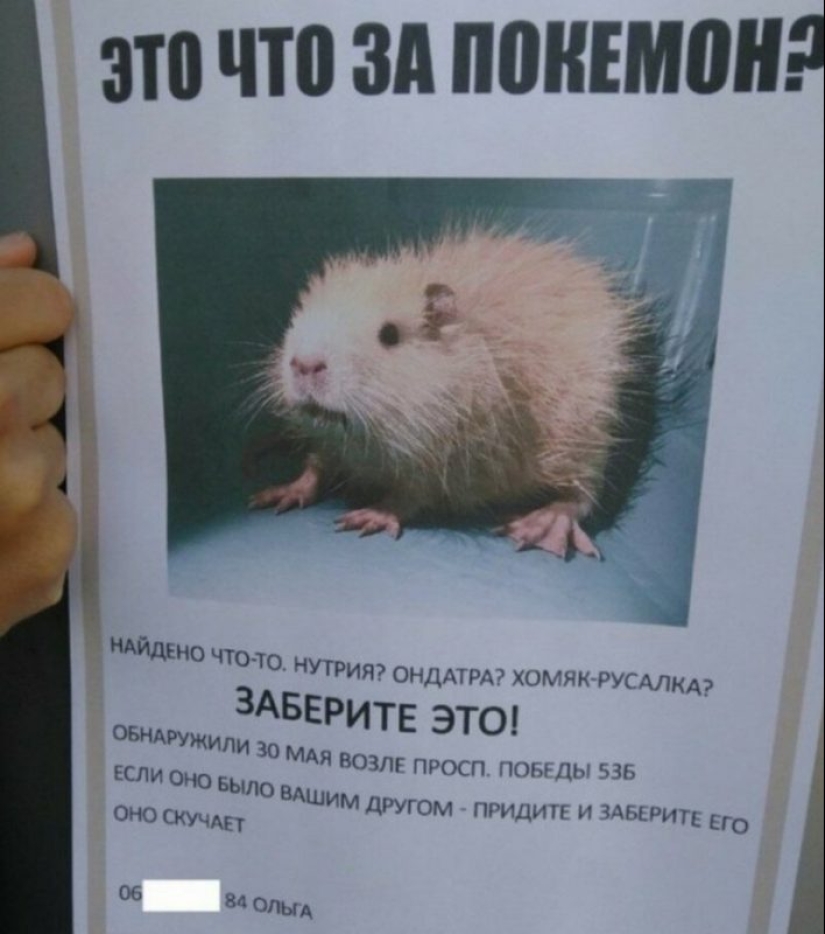 20 colorido de las fotos tomadas en algún lugar de Rusia 20 colorido de las fotos tomadas en algún lugar de Rusia