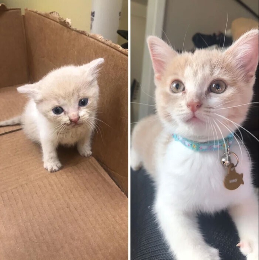 20+ corazón tocando imágenes acerca de cómo crecer rápidamente nuestro favorito koteyki 20+ corazón tocando imágenes acerca de cómo crecer rápidamente nuestro favorito koteyki