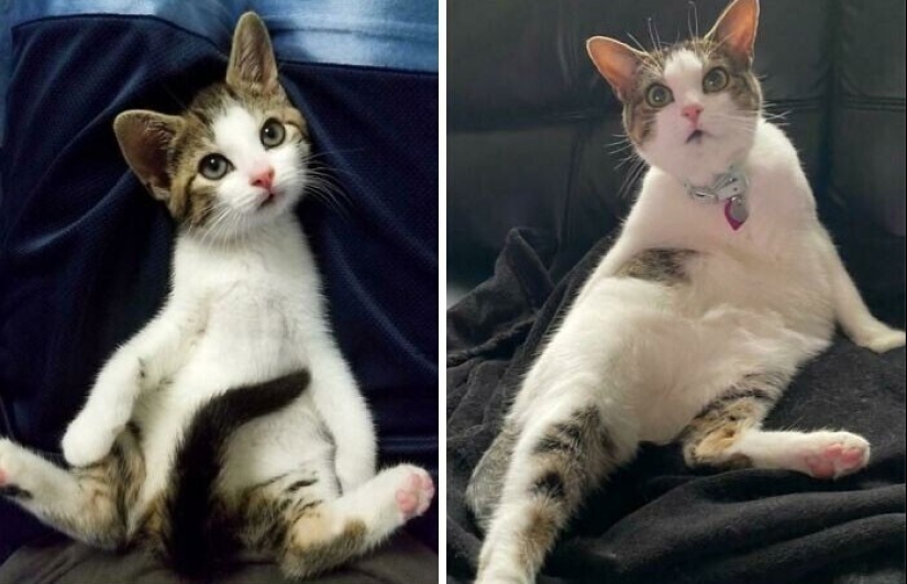 20+ corazón tocando imágenes acerca de cómo crecer rápidamente nuestro favorito koteyki 20+ corazón tocando imágenes acerca de cómo crecer rápidamente nuestro favorito koteyki