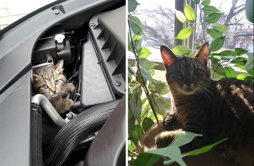 20+ corazón tocando imágenes acerca de cómo crecer rápidamente nuestro favorito koteyki 20+ corazón tocando imágenes acerca de cómo crecer rápidamente nuestro favorito koteyki