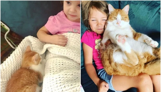 20+ corazón tocando imágenes acerca de cómo crecer rápidamente nuestro favorito koteyki 20+ corazón tocando imágenes acerca de cómo crecer rápidamente nuestro favorito koteyki