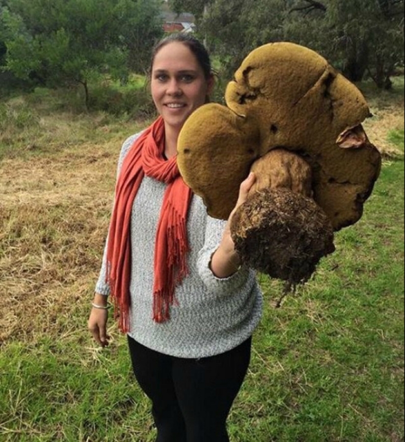 20 cosas que pueden ser más de lo que esperábamos