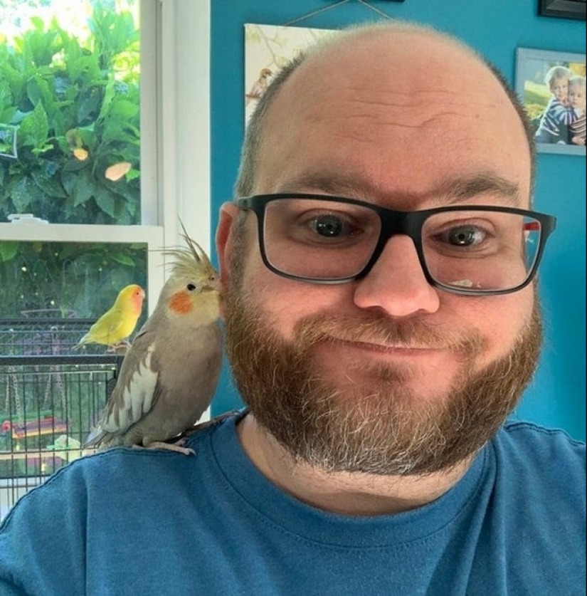 20 crashes in the Matrix: these photos are completely real, no photoshop 20 crashes in the Matrix: these photos are completely real, no photoshop