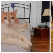 20 crashes in the Matrix: these photos are completely real, no photoshop