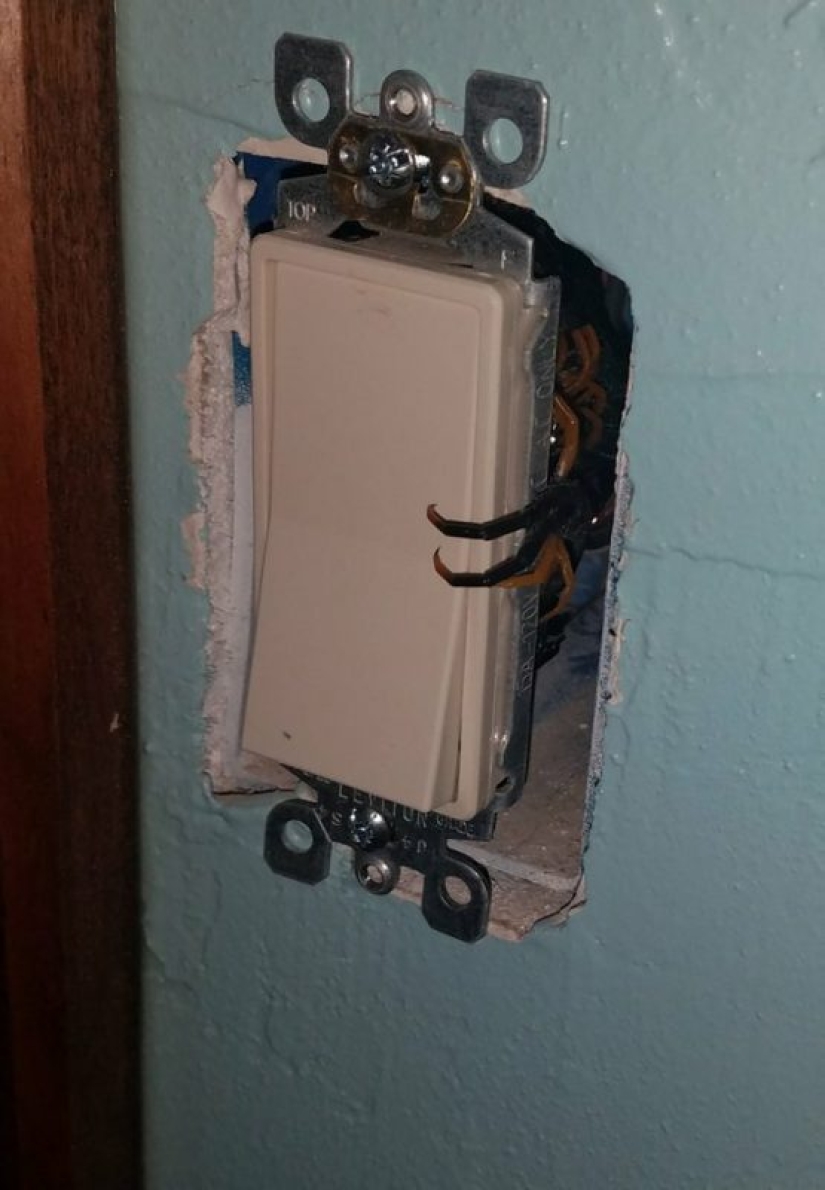 20 creations of nature that can cause horror even in a person with a strong psyche