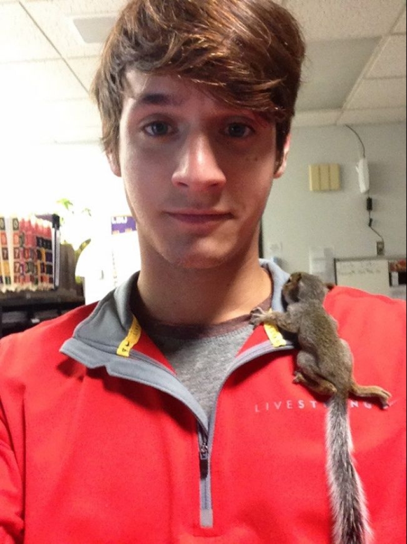 20 cute proofs that a veterinarian is a flying profession