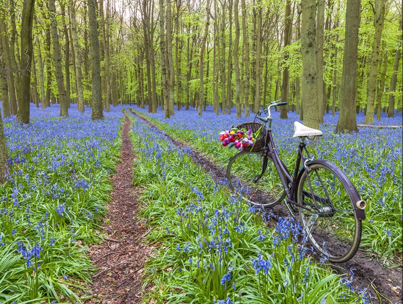 20 datos interesantes sobre el cuerpo que te harán mirar a las personas de una nueva manera