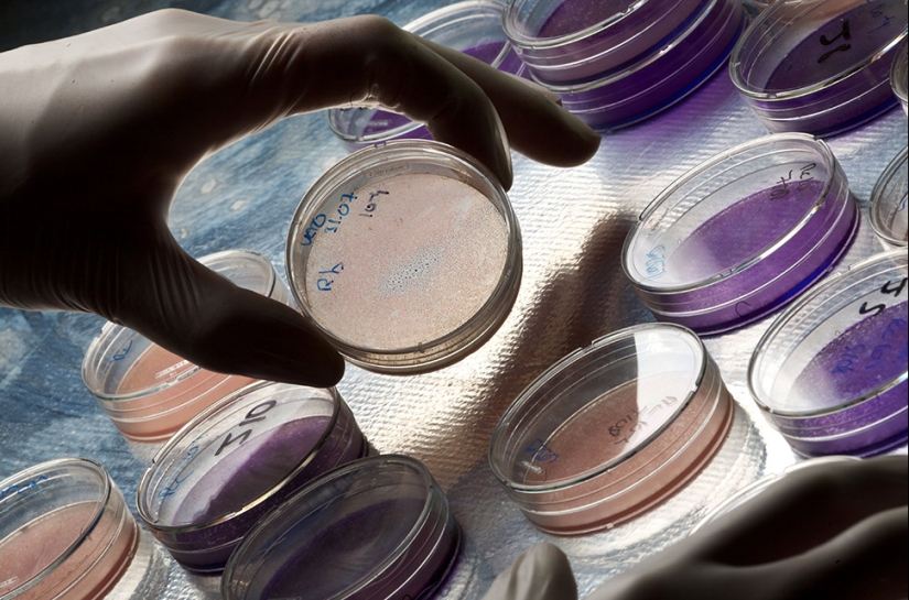 20 datos interesantes sobre el cuerpo que te harán mirar a las personas de una nueva manera